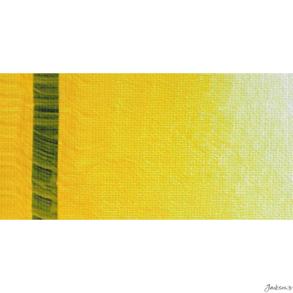 Ara Acrylic Paint 500ml Indian Yellow Lake Extra For Large Canvas Artists