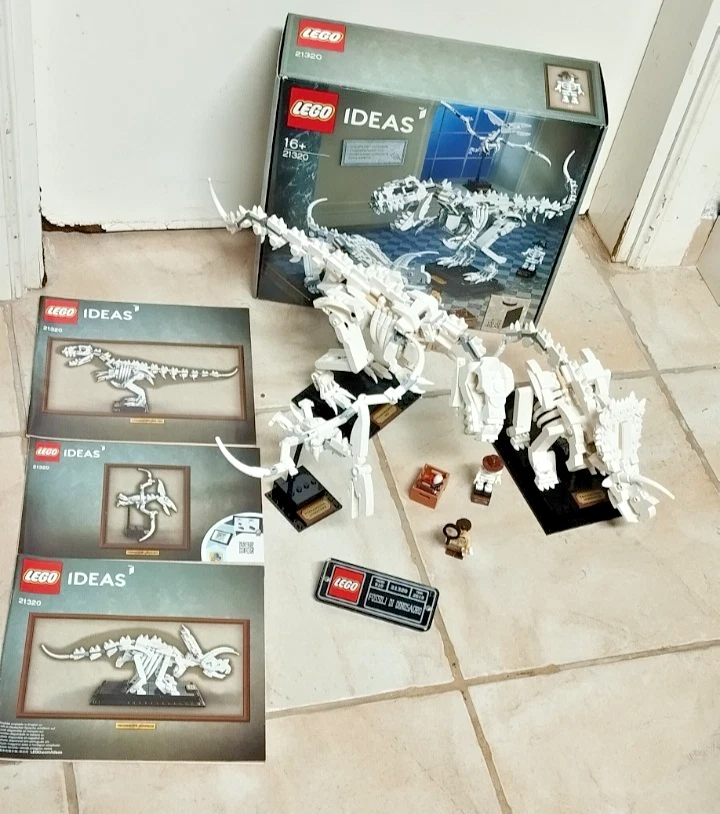 LEGO Ideas 21320 Dinosaur Fossils, foto 1 di 5