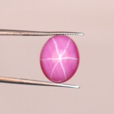 7.85 Ct Certified Natural FL Pink Star Ruby 6 Rays Oval Cabochon Loose Gemstone
