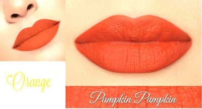 PUDAIER PUMPKIN Bright Coral Orange Matte Liquid Lipstick Waterproof Long Lasting