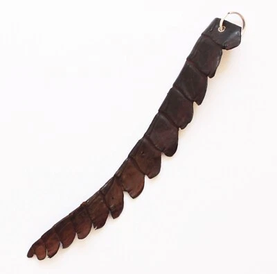 Schlüsselanhänger dunkelbraun echtes Krokodilleder Crocodile key ring mit Cites - Bild 1 von 2