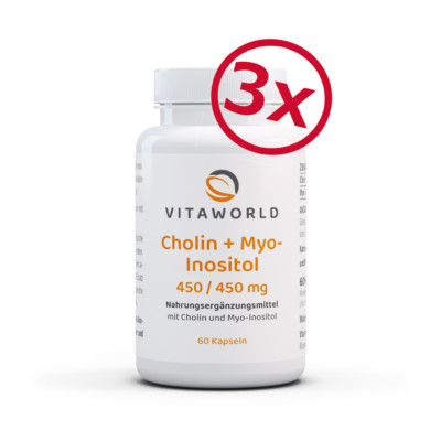 3er Pack Vita World Cholin 450mg+Myo-Inositol 450mg 3x60Kap Vegan
