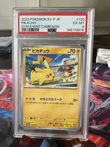 Pikachu 120/SV-P Gym Event Campaign Promo 2023 PSA 6 Pokemon Card Japanese