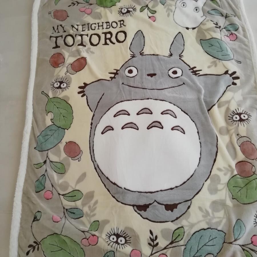 ビカクシダ YMDS Totoro HHRナーセリータグ付け #485 【公式通販】