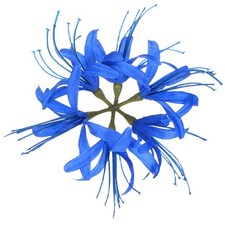 Artificial Flower Heads 7 Inch, Blue 1 PCS - Spider Lily Silk Flowers