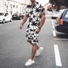 Men's set short sleeved T-shirt shorts 2-piece set Hawaiian casual clothing