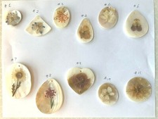 Handmade Seashells with Mini real dry flowers