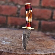 CUSTOM HANDMADE DAMASCUS STEEL HUNTING SKINNING KNIFE STAG HORN HANDLE SURVIVAL