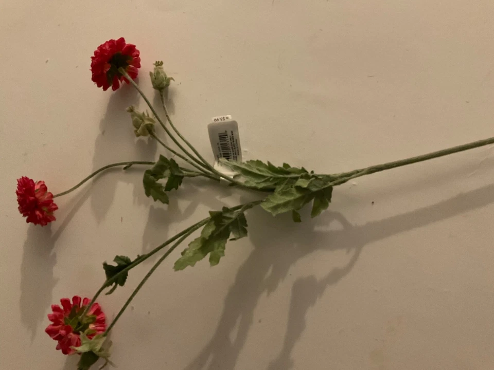 Lote de 6 arbustos clavel blanco 27 pulgadas arbusto rosa y uno blanco Foto 4 de 4