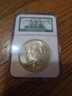 1923 Binion Hoard Collection Peace Silver Dollar MS 65 NGC