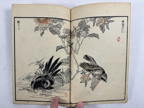 Japanese Woodblock Print Book “Bairei Hyakucho Gafu” Vol.① Kono Bairei Bird 1881 - Imagen 21 de 24