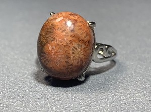 Natural Silicified Coral Fossil Flower Agate Ring/ Adjustable