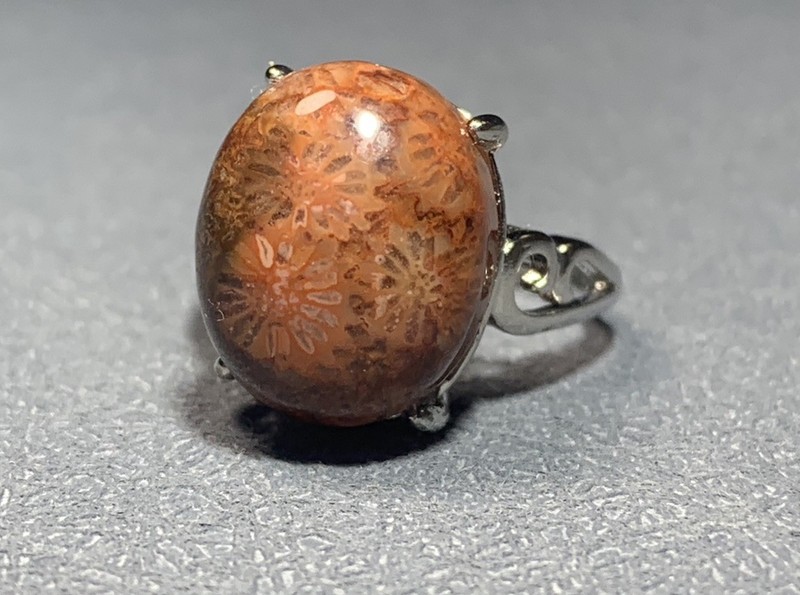 Natural Silicified Coral Fossil Flower Agate Ring/ Adjustable