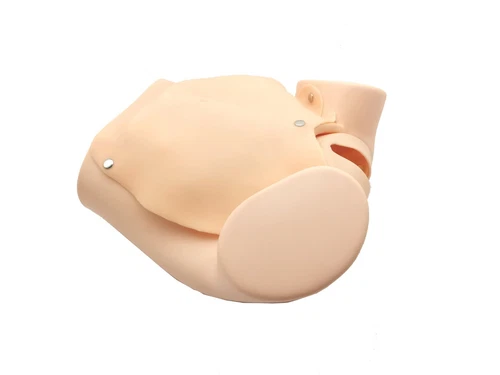 Advanced Medical Teaching Series Model Delivery Childbirth Mechanism Manikin - Picture 10 of 11