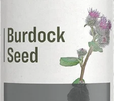 BURDOCK SEED - Traditional Chinese Skin, Respiratory & Urinary Tract Tonic USA