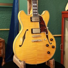 D Angelico Strap ampaign D Angelico Electric Guitar Semi-Aco Semi-Hollow Excel