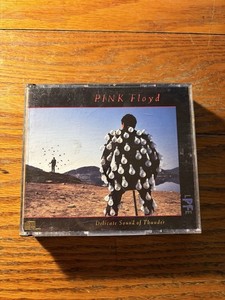 Pink Floyd Delicate Sound of Thunder | eBay