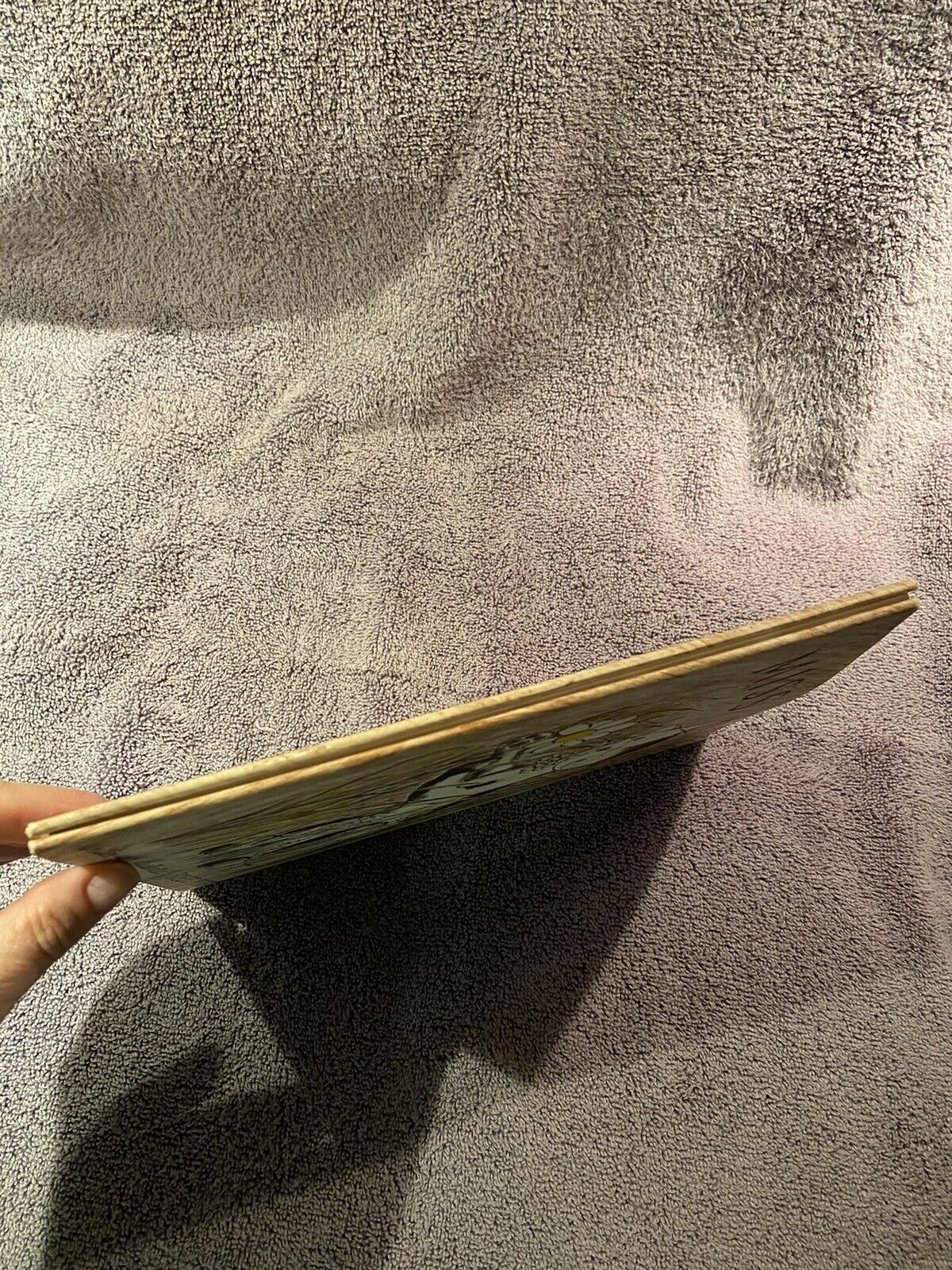 Picture 5 of 12