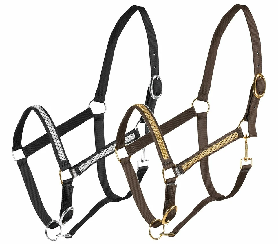 AKTION Halfter verstellbar mit Strassband schwarz oder dunkelbraun, Cob-XL Full - Bild 1 von 1