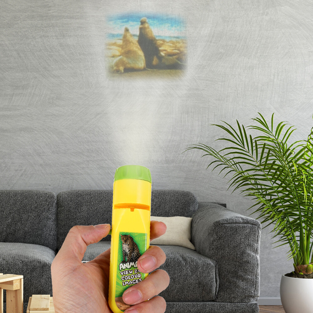 Projection Light Small Torches Projector Lamp Toy Flashlight eBay