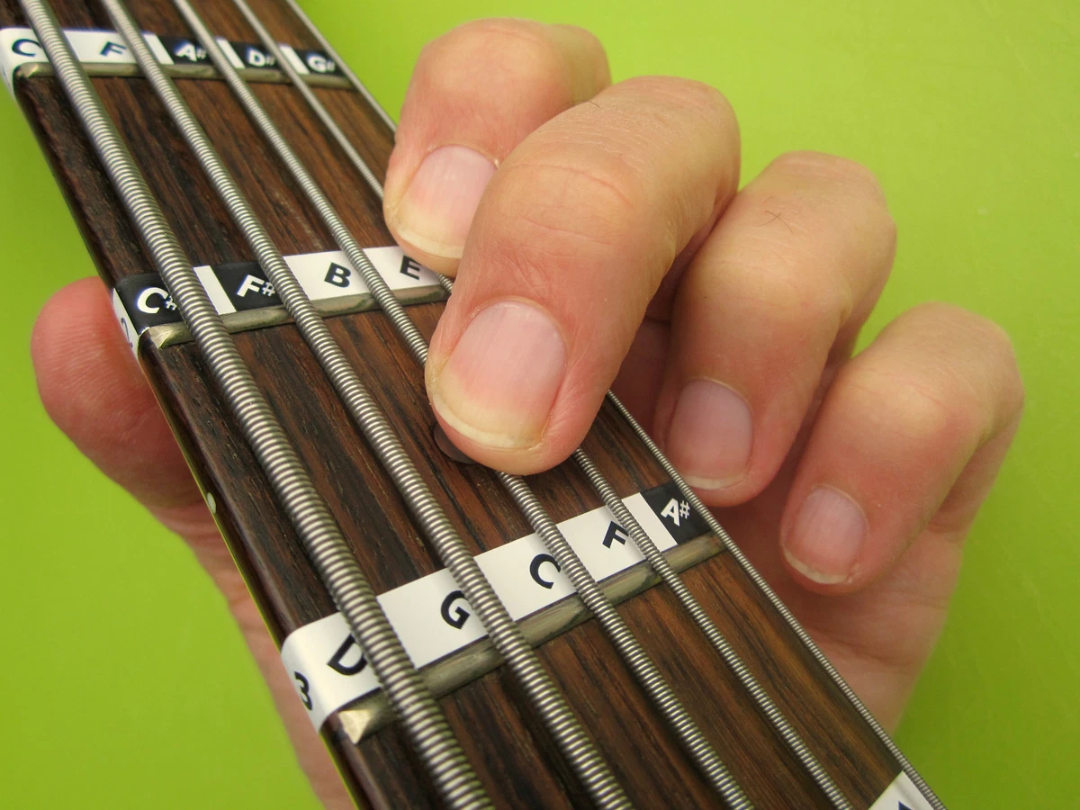 5 string deals bass guitar lessons