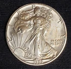 1989 American Silver Eagle 1 oz .999 Fine Silver Uncirculated