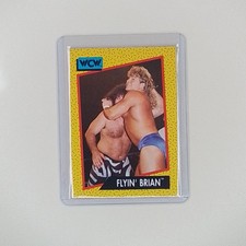 1991 Impel WCW - Brian Pillman #60 (RC) Wrestling Card WWE 