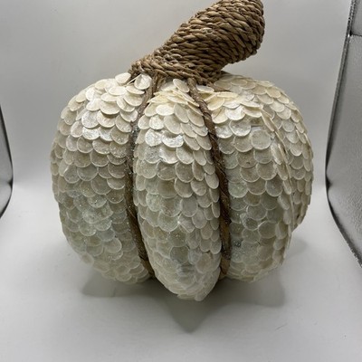 Fall Decor Pumpkin Mother Of Pearl Woven Straw Stem 9.5 