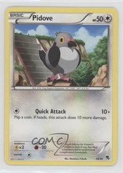 Pidove 14/30 BW Trainer Kit: Excadrill & Zoroark Common