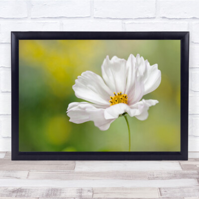 Weiße Sommerblume Floral grüne Blumen Bokeh Wandkunstdruck