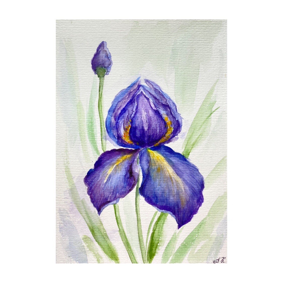 アイリスの(水彩画 2018年 ) original Art Iris Watercolor painting Purple Iris Art Flower
