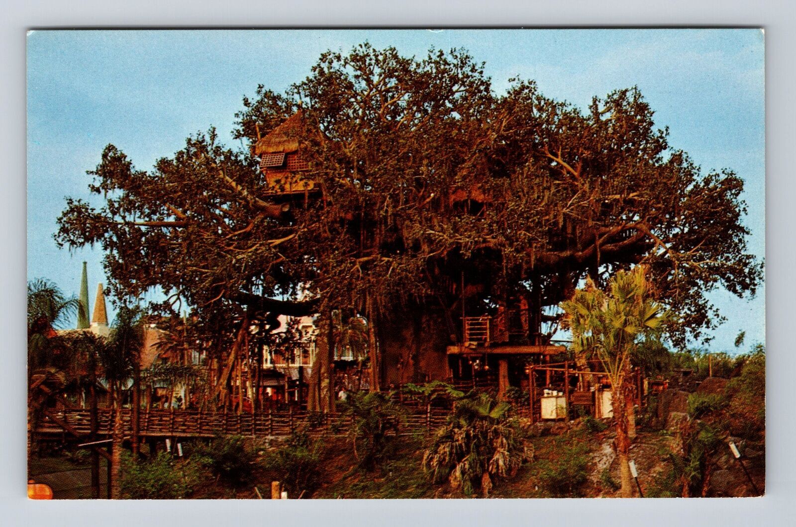 Vintage Disney World Swiss Family Treehouse Postcard Orlando Florida FL