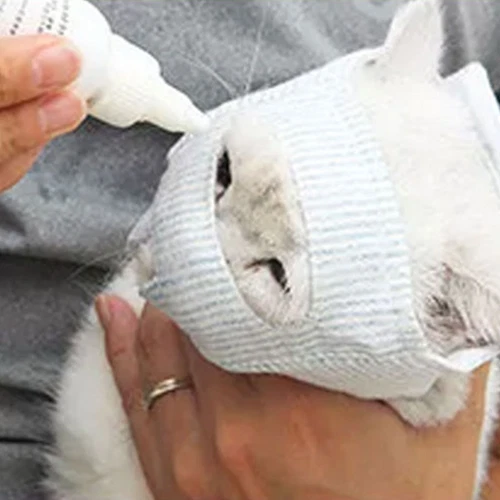 Pet Cat Muzzle Anti-Bite Protective Cover Eye Mask Mouth Cover Breathable Hood - Picture 5 of 14