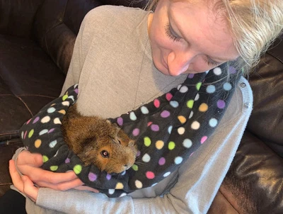 Fleece Bonding Scarf / Sling for Small Animals . Guinea pigs / ferrets / rats - Image 1 of 4