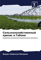 Sel'skohozqjstwennyj Krizis W Gabone Vaddl Nziengui Maluana Taschenbuch Russisch
