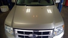 Gold Hood Fits 08-12 Escape 10325979
