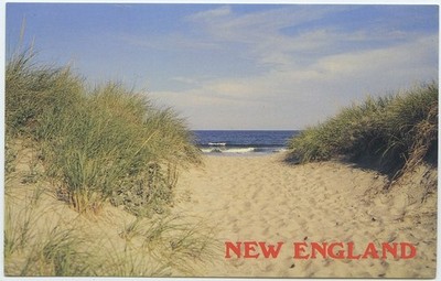 Path Through the Sand Dunes along New England coast Vintage Postcard Chrome