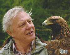 SIR DAVID ATTENBOROUGH BBC NATURE TV HOST SIGNED 8x10 PHOTO BECKETT COA