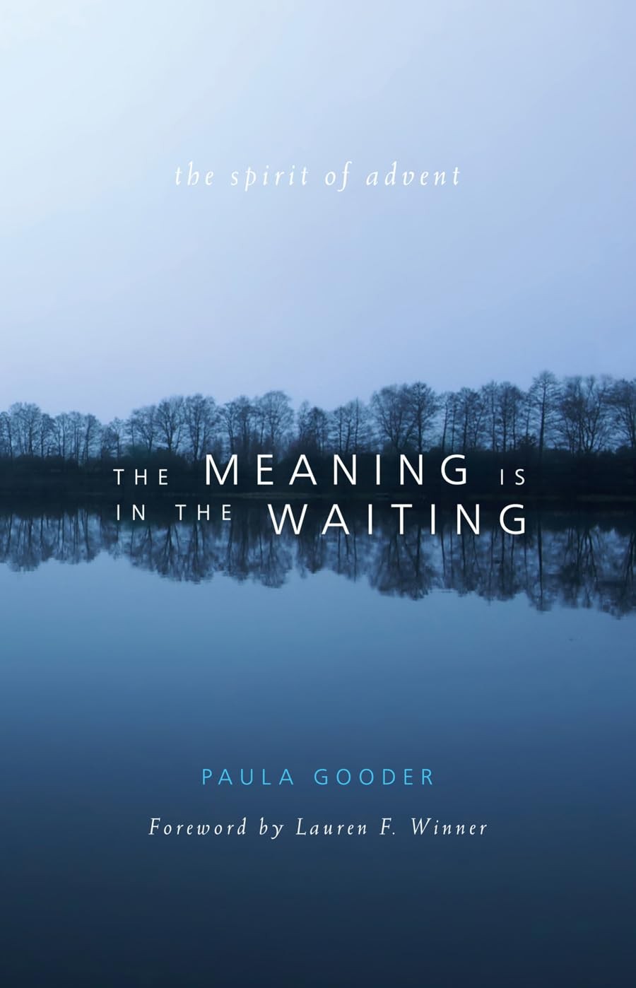 The Meaning is in the Waiting: The Spirit of Advent by Gooder