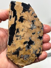 Roan Leopard Marble Rough Slab Cabbing Lapidary Combo Ship Avail