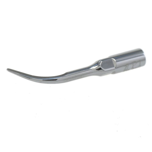 Escalador dental ultrasónico pájaro carpintero puntas de escala periodoncia P1 P3 P4 P3D EMS - Imagen 15 de 47