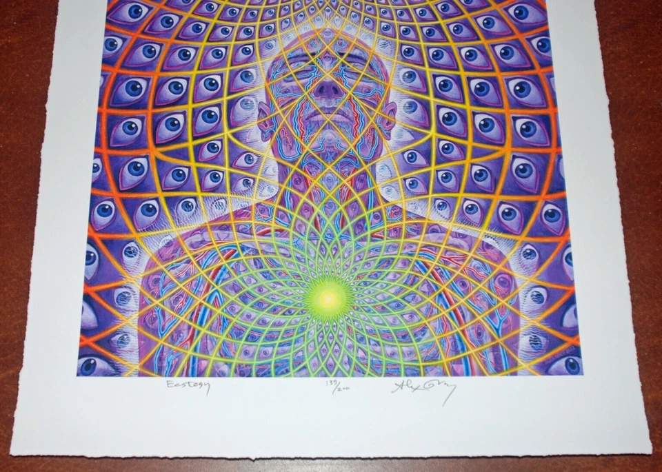 Alex Grey Kunstdruck Ecstasy S/# 139/200 mit COA Tool Poster Künstler Psychedelic - Bild 4 von 4