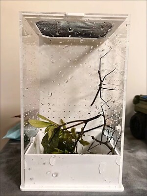 Praying Mantis Stick Insect Arboreal Cages Feeding Box enclosure SIDE VENTED S