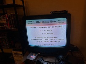 Paperboy -- NES Nintendo CLASSIC gioco originale PULITO TESTATO 