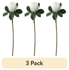 3 pack 26.5 in White Artificial King Protea Stem