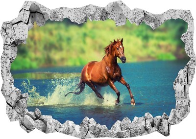 Pferd läuft See schön 3D Wandsticker Poster Aufkleber Wandbild Schlafzimmer Kunst Z400