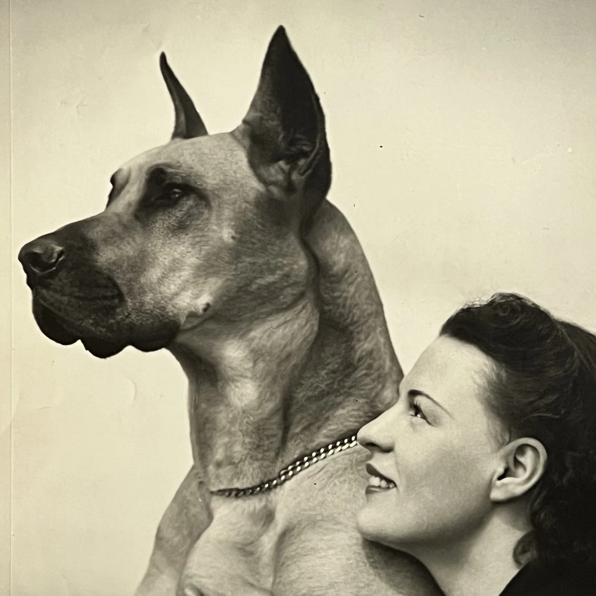 Great Dane products for sale | eBay