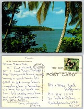 Vintage Jamaican Coastline Postcard Montego Bay Ocean Palm Trees 1960s