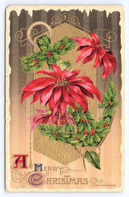 Postcard Merry Christmas Red Poinsettia Flowers Holly Leaves Winsch c1910