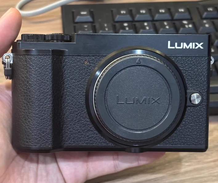Panasonic LUMIX GX9 Panasonic LUMIX Digital Cameras for sale | eBay